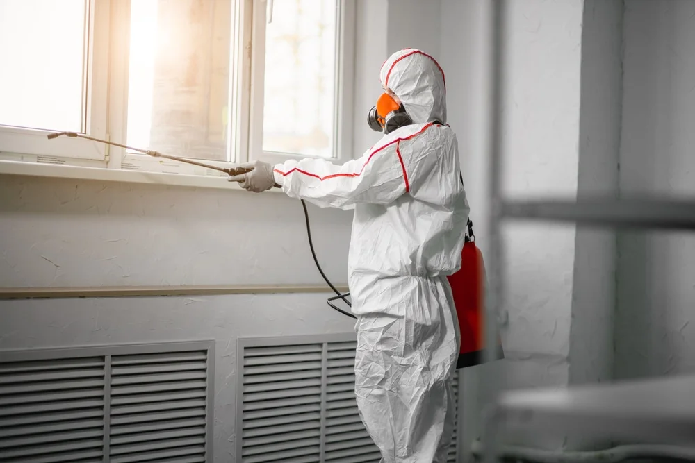 Professional mold remediation services in Osgood, IN
